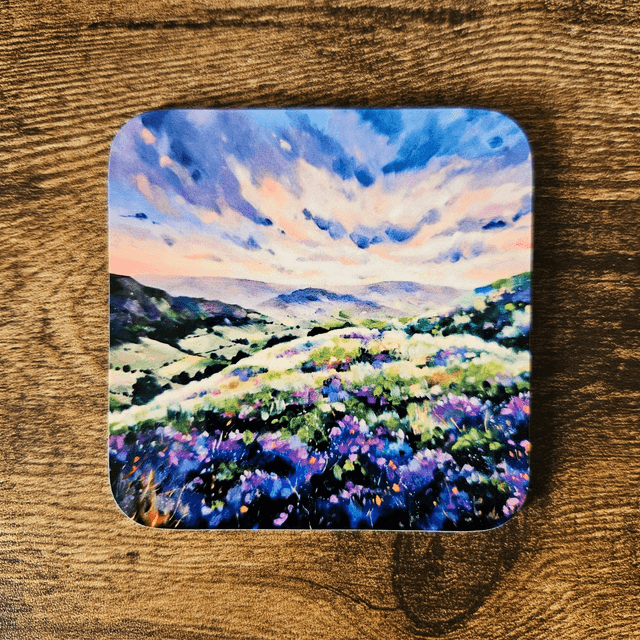 Coasters - North York Moors
